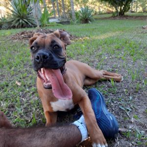 WhatsApp Iage 2023-09-03 at 10.13.50 AM