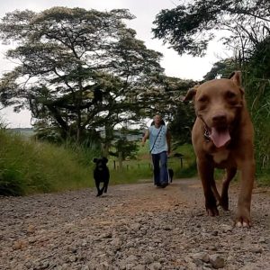 WhatsApp Image 5-09-03 at 10.13.49 AM